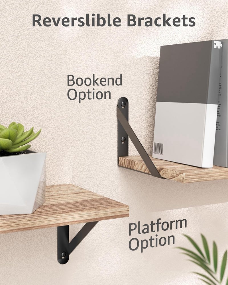 COCOYA 6x4.5 Shelf Brackets 2-Pack, Shelf Support Shelf Holder Steel Wall Mount Heavy Duty Small L Shape Triangle 90 Degree Metal Black with Screws Anchors Soporte de Estante - Image 3